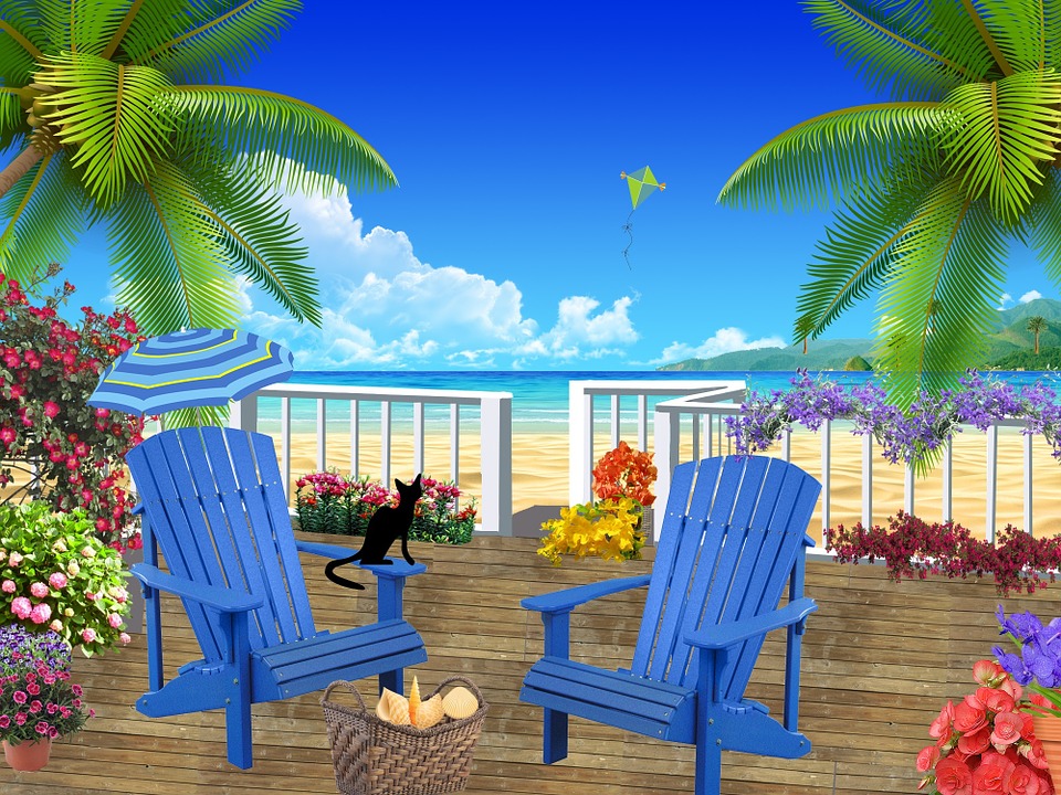 shell chairs