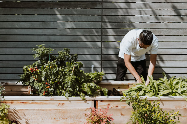 gardening